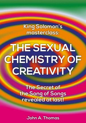 Cover of the book The Sexual Chemistry of Creativity: King Solomon's Masterclass by Andy Woods