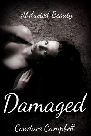 Cover of the book Damaged by Alicia M Kaye