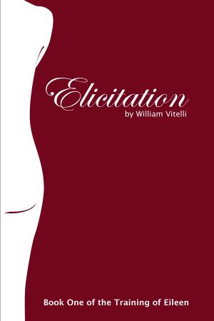Cover of the book Elicitation: Book 1 of the Training of Eileen by Conny van Lichte