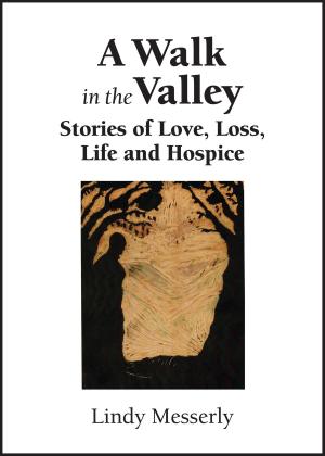 Cover of the book A Walk In the Valley: Stories of Love, Loss, Life and Hospice by Piera Gelardi, Christene Barberich