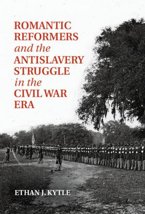 Cover of the book Romantic Reformers and the Antislavery Struggle in the Civil War Era by Neil Duxbury