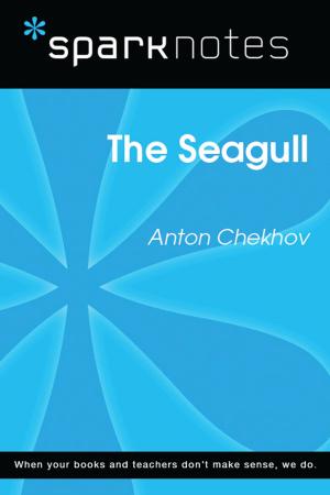 bigCover of the book The Seagull (SparkNotes Literature Guide) by 