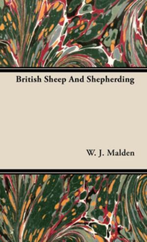Cover of the book British Sheep And Shepherding by Franz Lafar