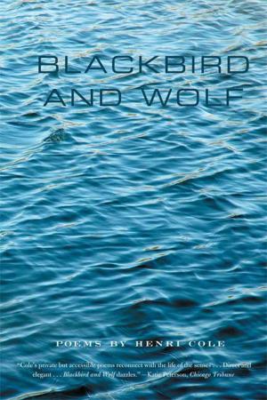 Cover of the book Blackbird and Wolf by Geoff Dyer