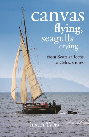 Cover of the book Canvas Flying, Seagulls Crying by Dan Vyleta