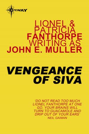 Cover of the book Vengeance of Siva by Victor Davies