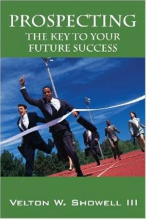 bigCover of the book Prospecting the Key to Your Future Success by 