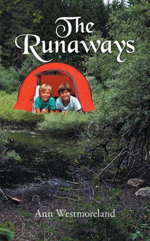 Cover of the book The Runaways by J.C. Nicholson