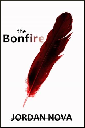 Book cover of The Bonfire