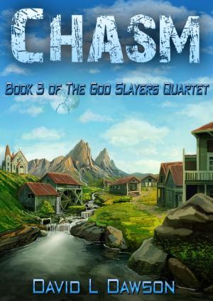 Book cover of Chasm