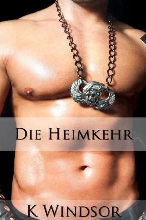 Cover of the book Die Heimkehr by Christina Channelle