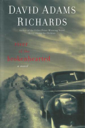 Cover of the book River of the Brokenhearted by Michael Foss