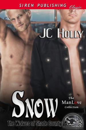 Cover of the book Snow by Libby Calvincourt