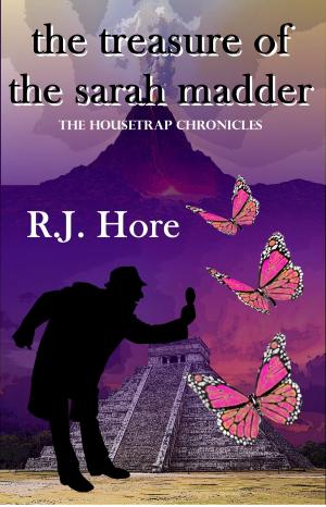 Cover of the book The Treasure of the Sarah Madder by January Bain
