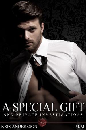 Cover of the book A Special Gift and Private Investigations by Jack Goldstein