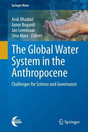 Cover of the book The Global Water System in the Anthropocene by Artur Gramacki