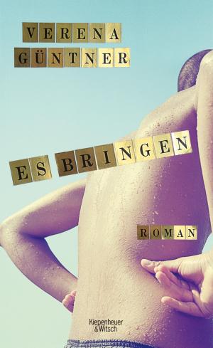 Cover of the book Es bringen by Feridun Zaimoglu