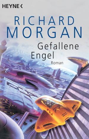 Cover of the book Gefallene Engel by Evan Currie