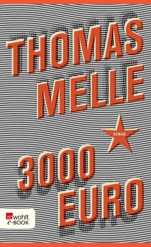 Cover of the book 3000 Euro by Jan Seghers