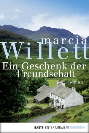 Cover of the book Ein Geschenk der Freundschaft by Sabine Stephan