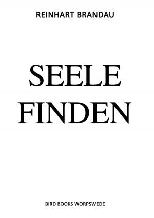 Cover of the book Seele finden by Claudia J. Schulze, Anke Hartmann