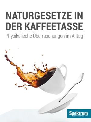 Cover of Naturgesetze in der Kaffeetasse