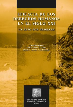 Cover of the book Eficacia de los Derechos Humanos en el siglo XXI: Un reto por resolver by María Delgadina Valenzuela Reyes