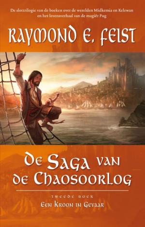 Cover of the book Een kroon in gevaar by J.D. Salem