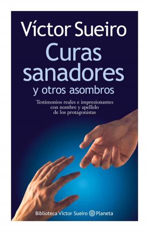 Cover of the book Curas sanadores by Máximo Huerta