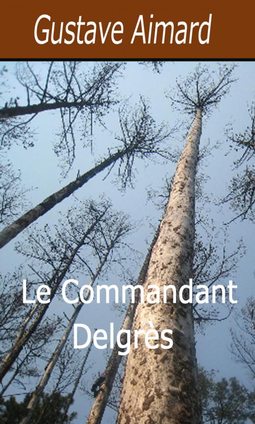 Cover of the book Le Commandant Delgrès by Gustave Aimard, Largau