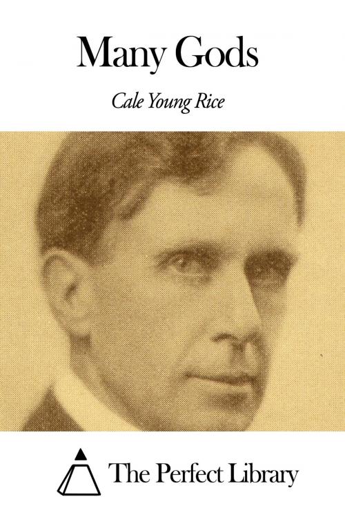 Cover of the book Many Gods by Cale Young Rice, The Perfect Library