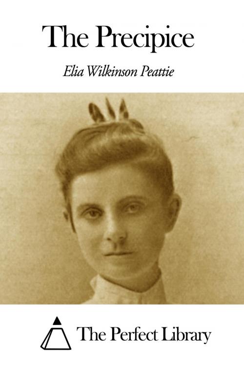 Cover of the book The Precipice by Elia W. Peattie, The Perfect Library