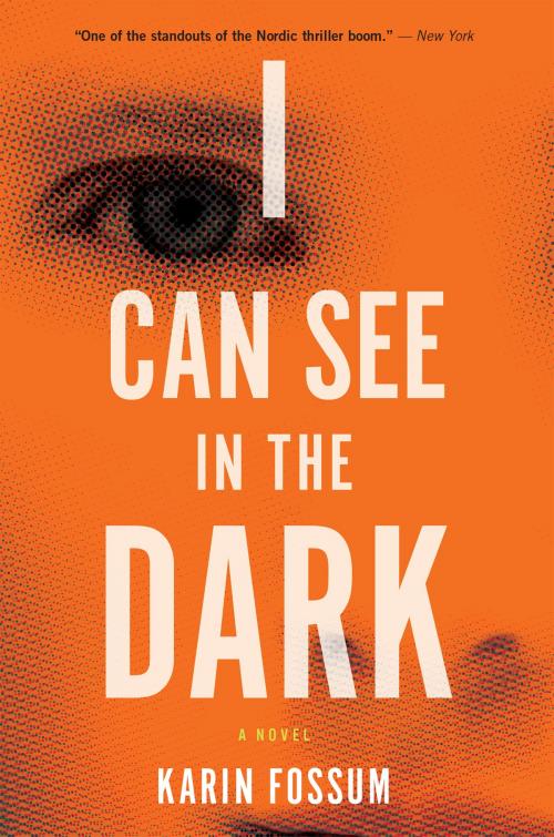 Cover of the book I Can See in the Dark by Karin Fossum, HMH Books