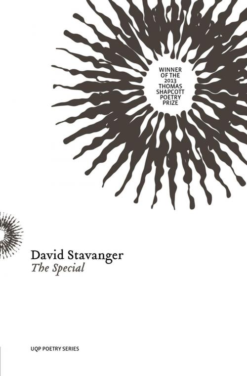 Cover of the book The Special by David Stavanger, University of Queensland Press