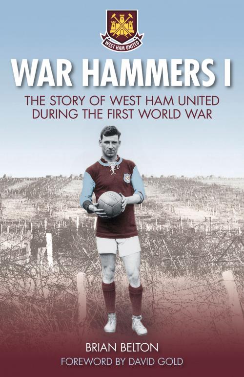 Cover of the book War Hammers by Brian Belton, The History Press