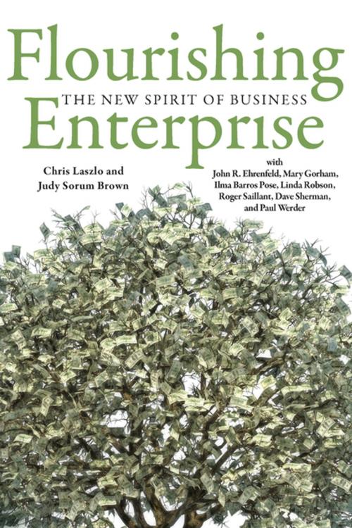 Cover of the book Flourishing Enterprise by Chris Laszlo, Judy Sorum Brown, Stanford University Press