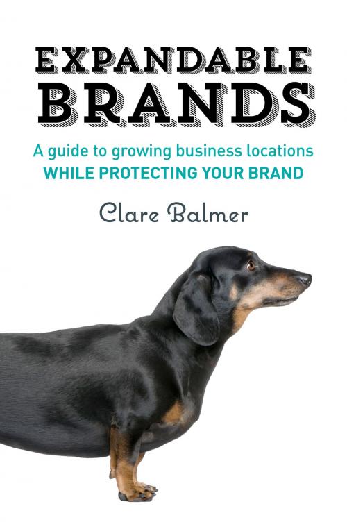 Cover of the book Expandable Brands by Clare Balmer, Container Creative