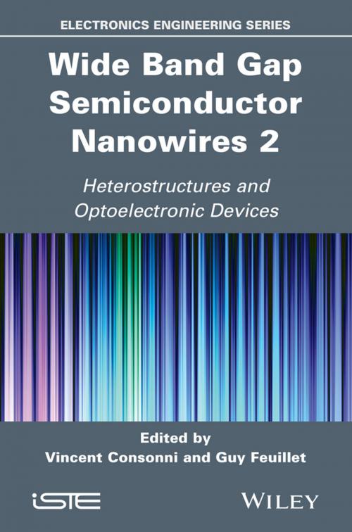 Cover of the book Wide Band Gap Semiconductor Nanowires 2 by Robert Baptist, Wiley