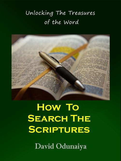 Cover of the book How To Search The Scriptures by David Odunaiya, David Odunaiya