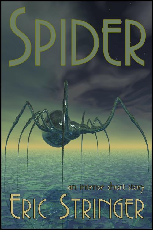 Cover of the book Spider by Eric Stringer, StoneThread Publishing