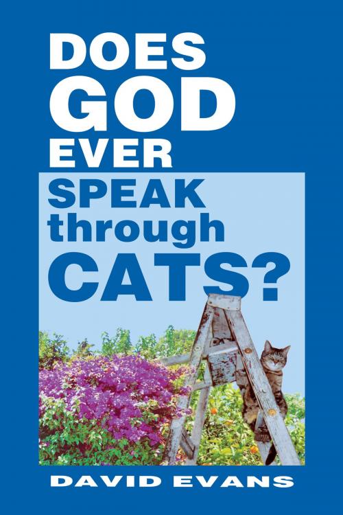 Cover of the book Does GOD Ever Speak through CATS? by David Evans, David Evans