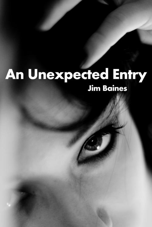 Cover of the book An Unexpected Entry by Jim Baines, Jim Baines