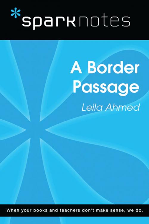 Cover of the book A Border Passage (SparkNotes Literature Guide) by SparkNotes, Spark