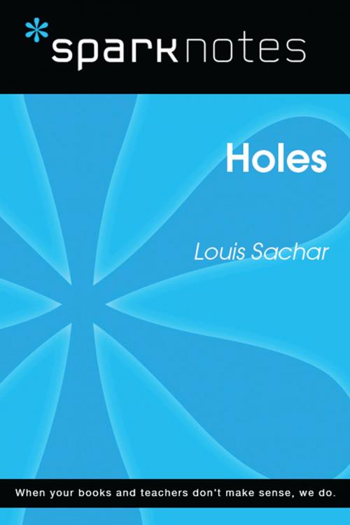 Cover of the book Holes (SparkNotes Literature Guide) by SparkNotes, Spark