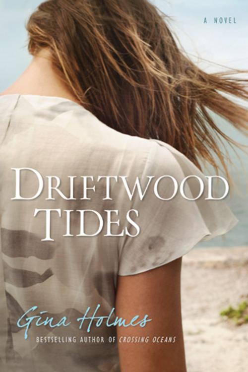 Cover of the book Driftwood Tides by Gina Holmes, Tyndale House Publishers, Inc.