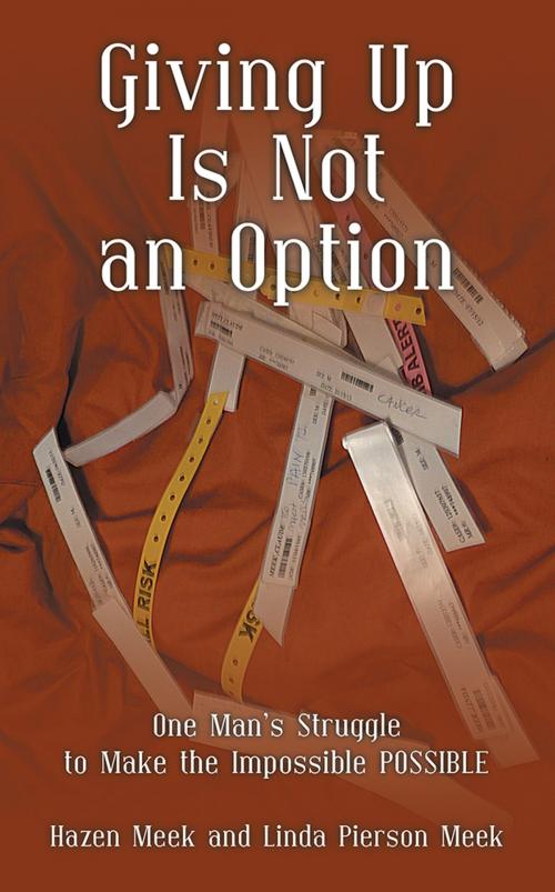 Cover of the book Giving up Is Not an Option by Hazen Meek, Linda Pierson Meek, Abbott Press