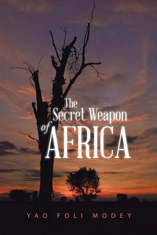 Cover of the book The Secret Weapon of Africa by Yao Foli Modey, Trafford Publishing