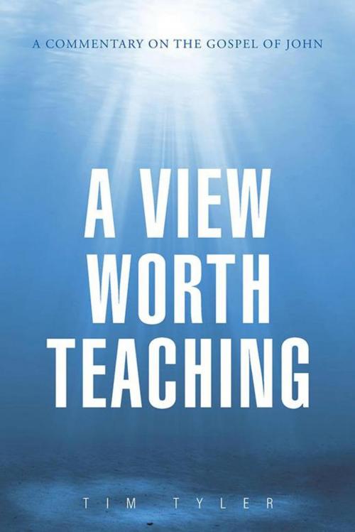 Cover of the book A View Worth Teaching by Tim Tyler, AuthorHouse