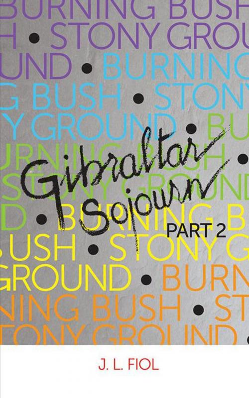 Cover of the book Burning Bush Stony Ground by Joseph Fiol, AuthorHouse UK