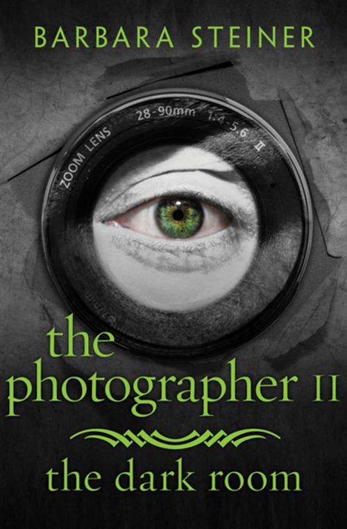 Cover of the book The Photographer II by Barbara Steiner, Open Road Media